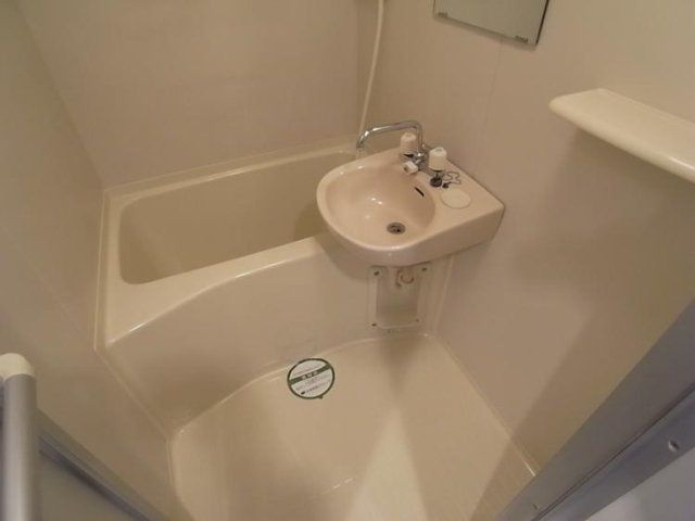 ロアール御茶ノ水順天堂大学前の浴室