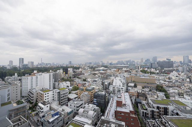 パークコート神宮北参道　ザ　タワーの展望