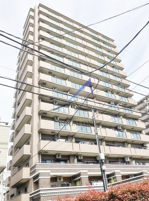 ナイスシティアリーナ新小岩の外観|外観です。