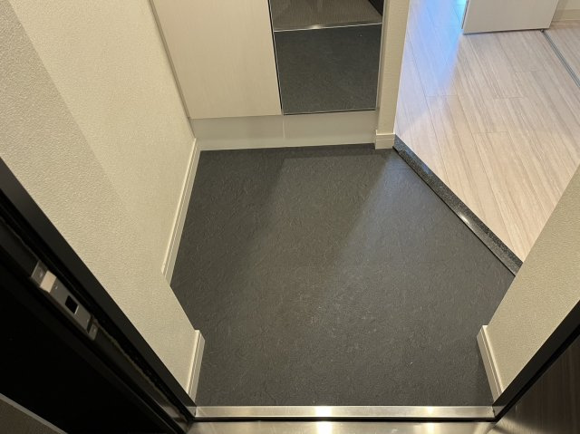 プレサンス丸の内リラティ｜名古屋市の賃貸ならMy賃貸の玄関|プレサンス丸の内リラティ