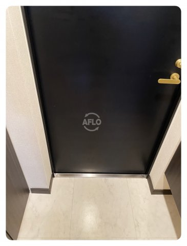 ディナスティ松屋町Ⅱのその他|ディナスティ松屋町Ⅱ　玄関