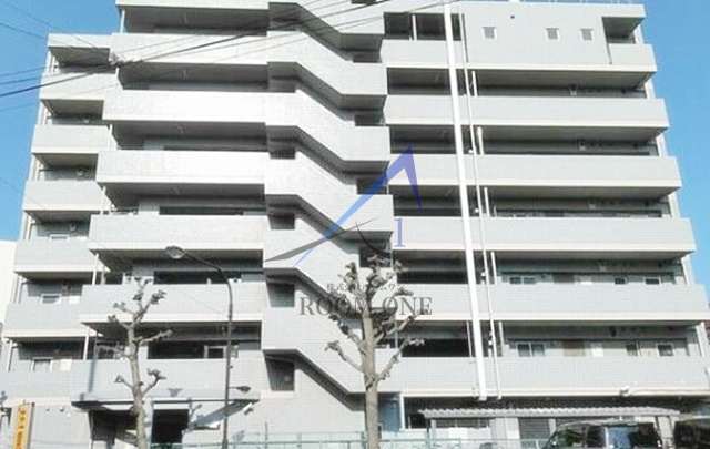 ノヨネフィル平井