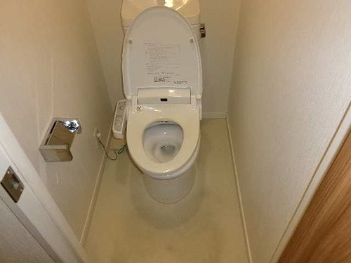 ライオンズマンション武蔵砂川のトイレ|トイレも気になるポイント