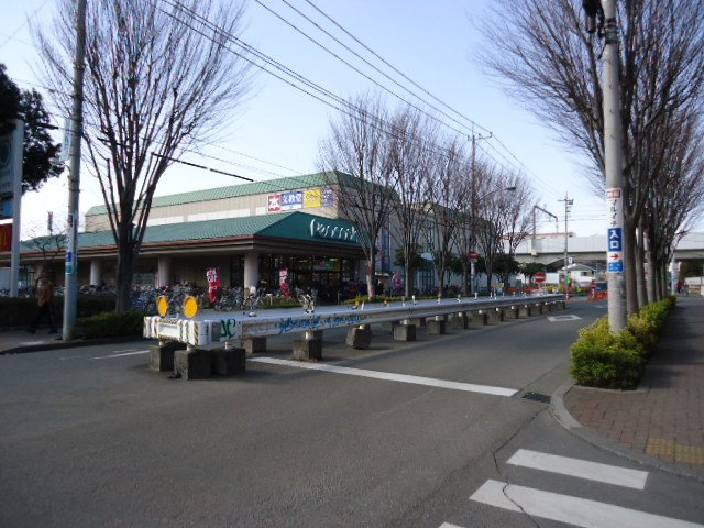 キャトル　セゾン（quatre saisons）の周辺|大丸ピーコック東小金井店まで659ｍ