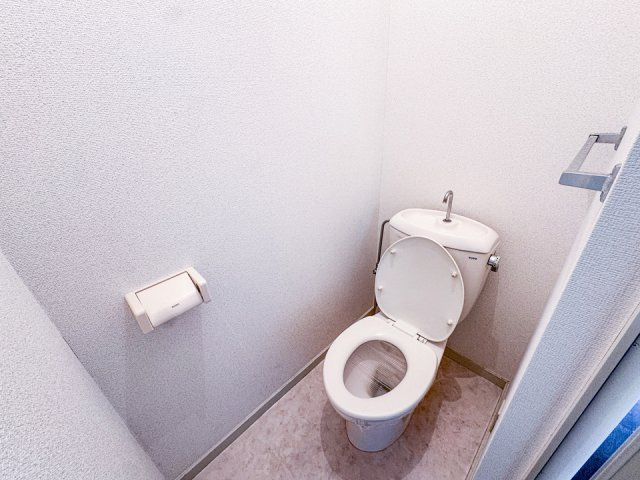 薔薇ハウスのトイレ|コンパクトで使いやすいトイレです
