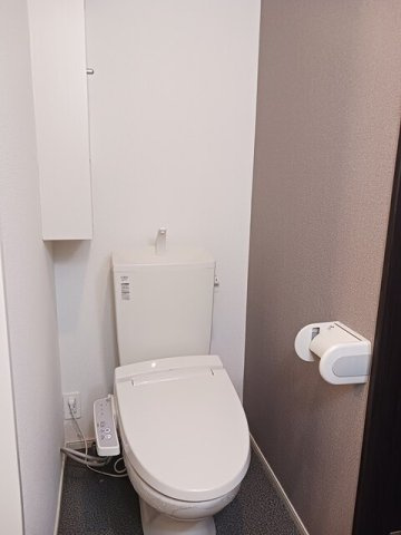 カーサ　ヴェルデのトイレ|トイレも気になるポイント