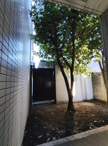 多摩平グリーンコーポの庭|お庭が付いています