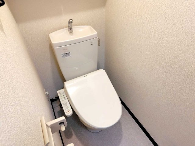 レオネクスト桑の葉のその他