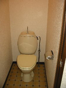 ハイツ正のトイレ|トイレもきれいです