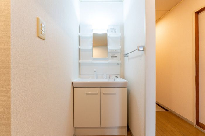 トゥインクル根塚の洗面所
