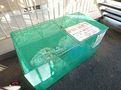 ゴミ置場