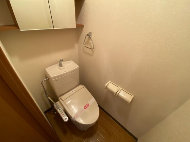 ルヴニール祇園N＆Sのトイレ|落ち着いた色調のトイレです
