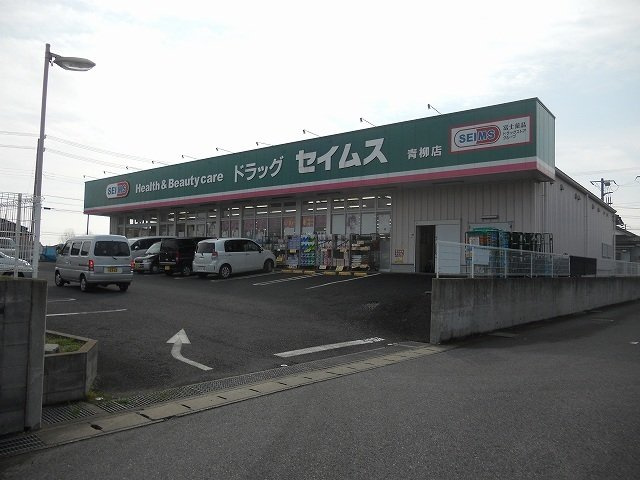 クレストⅡの周辺|ドラッグセイムス青柳北店まで1200m