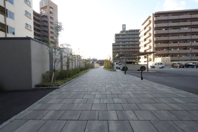 アルファステイツ米原
