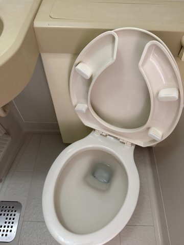 杉並区和田３丁目の賃貸マンションのトイレ|落ち着いたトイレです