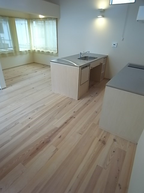 ミストレスカサスのその他