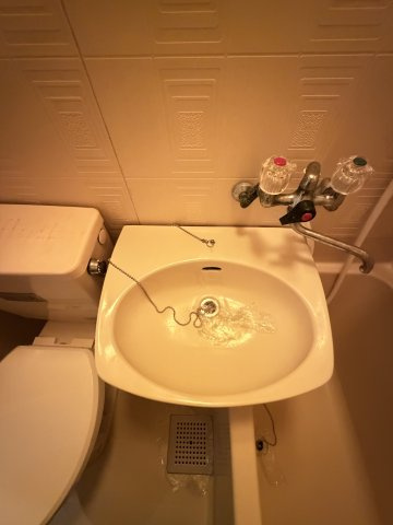 フラワーマンションの洗面所