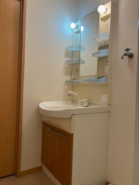 グランドソレーユ東合川の洗面所