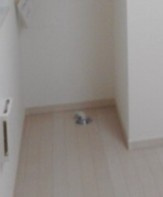 グローリア北千住の設備