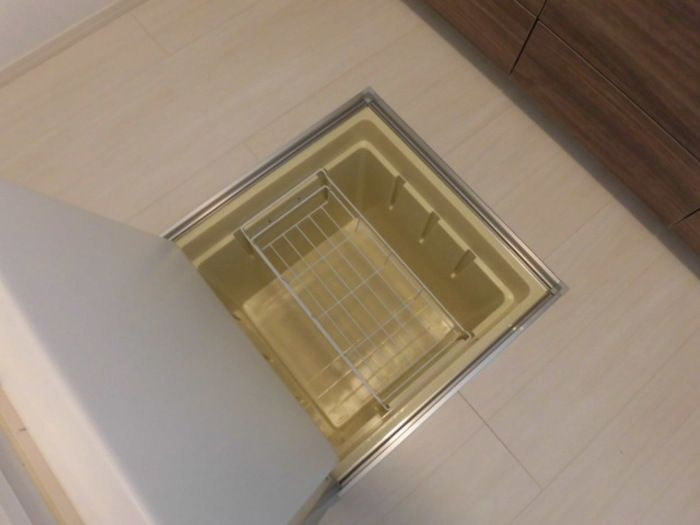 ブルースターのその他