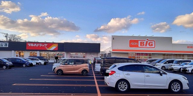 レオパレスパークハイムの周辺