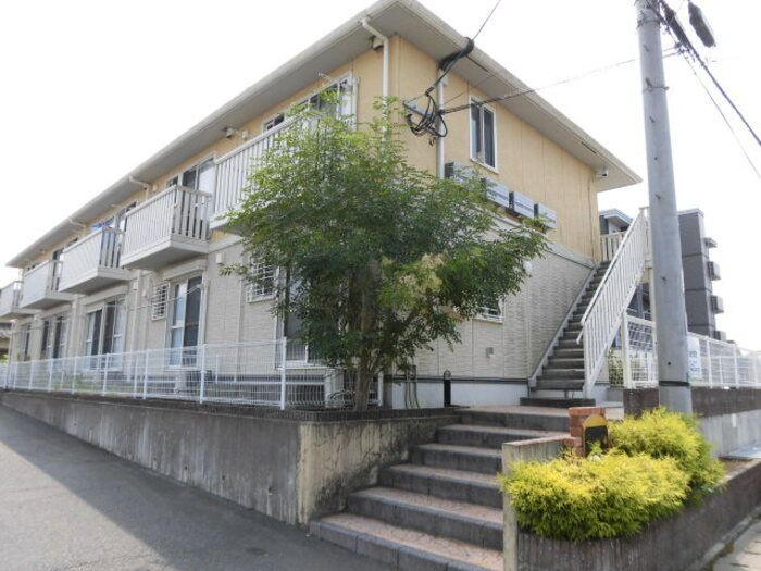 ＳｕｍｉＹａｓｕ．Ｓｏの外観