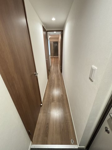 きれいな玄関です