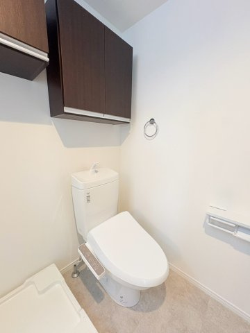 落ち着いた色調のトイレです