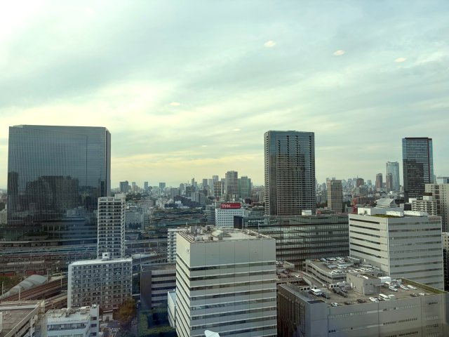 東京ベイシティタワーの展望|都心の街並みを見渡す25階からの眺望。リビングにいながらダイナミックな都市景観を楽しめる、タワーレジデンスならではの贅沢な住空間です。