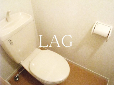 【トイレ】 | リバーパーク隅田Ⅰ | トイレです。