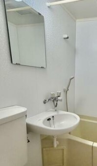 ライオンズマンション石川町第２の洗面所