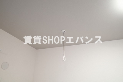  | ボア・フォレット