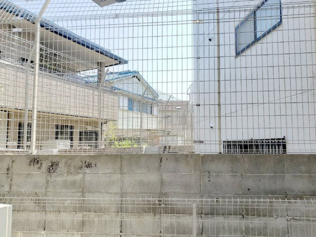 アモーレ松香園の展望