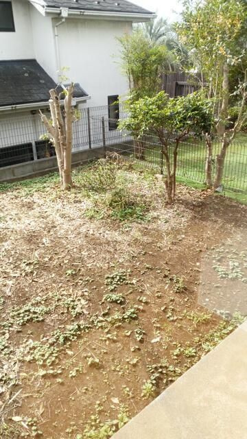 ガーデンヒルズＡ棟の庭