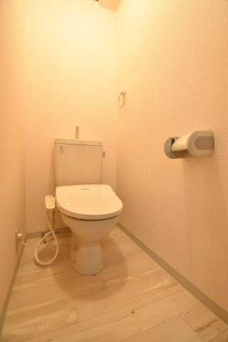 双輪建物第十コーポのトイレ