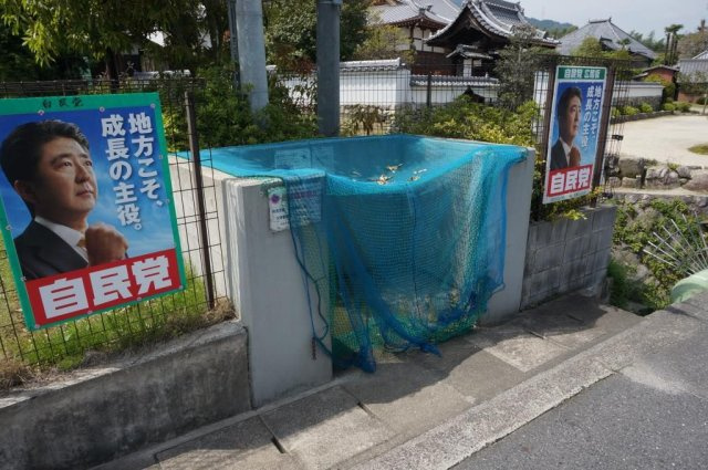 Pure Water S・H・U・E・I