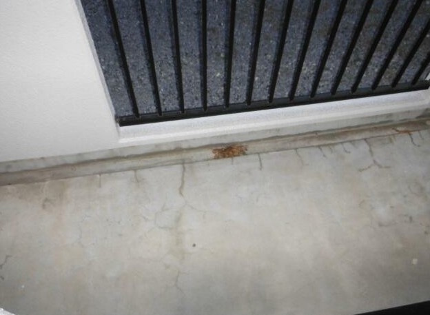 エクセルプラザのバルコニー|別部屋参照写真