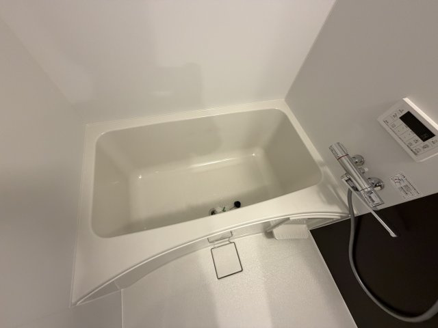 Louis Apartment豊中蛍池ウエストの浴室