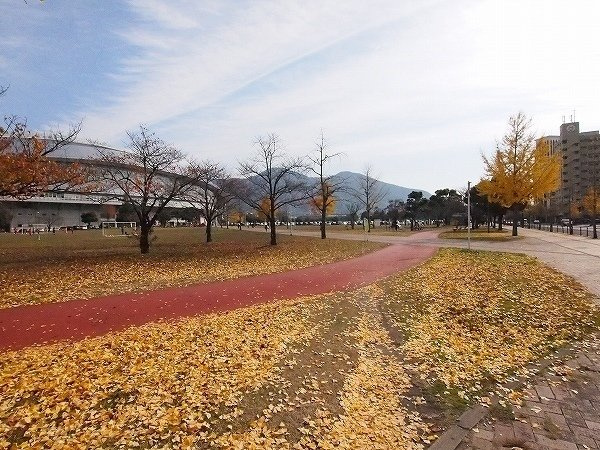 ラインスター三萩野の周辺|三萩野公園・メディアドームまで100m