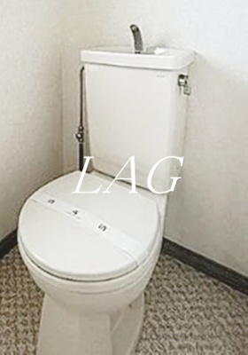 【トイレ】 | 第２６１シティプラザ大宮大成Ａ | トイレです。（同仕様です。）