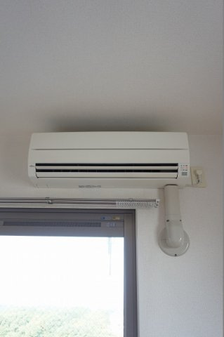 セントラルパーク　ウッズのその他