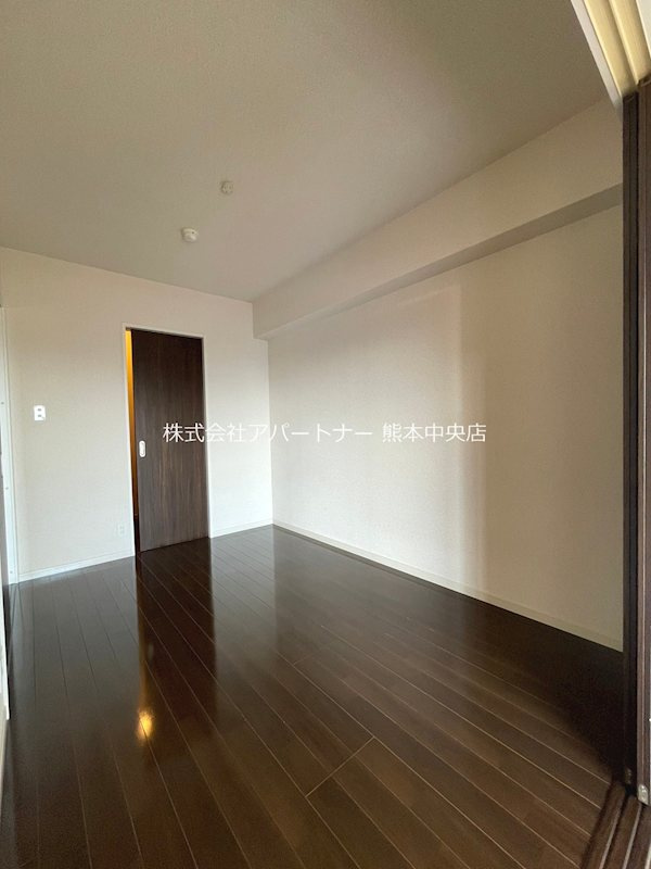熊本市南区御幸笛田２丁目の賃貸マンションの内装