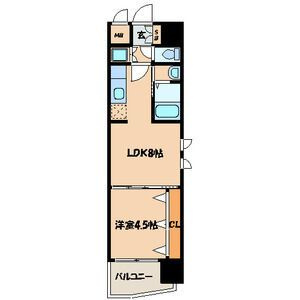 福岡市南区向野１丁目の賃貸マンションの間取り