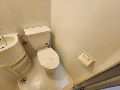ヤングヴィレッジ嵯峨のトイレ