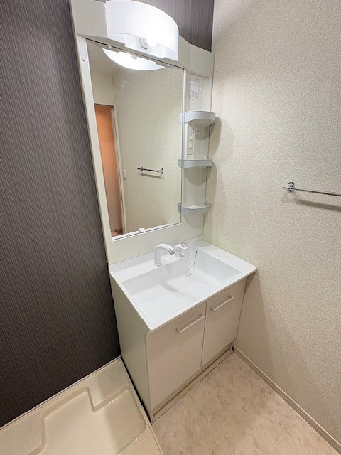 熊本市中央区出水３丁目の賃貸マンションの独立洗面台