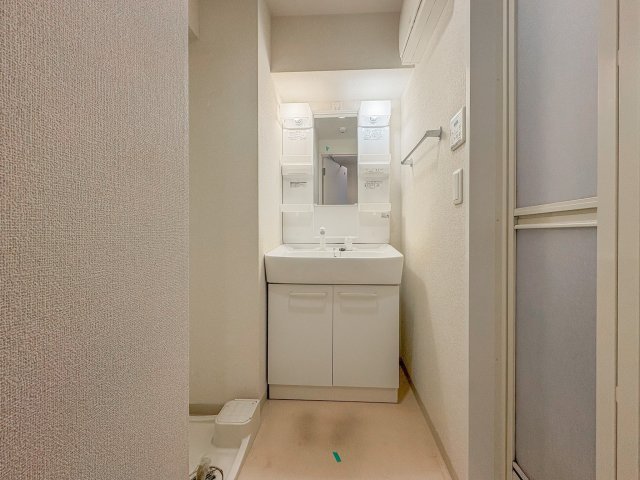 カーサからすやまの洗面所