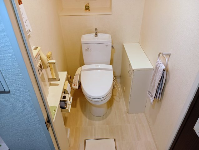 D’グランセ駿府Ⅱ　静岡市葵区安倍町のトイレ|使いやすさに配慮された水回り空間です。