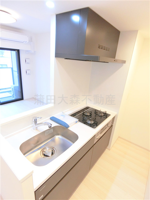 S-RESIDENCE大森bresaのキッチン|3口ガスグリル付　システムキッチン