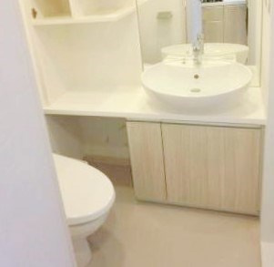 グロース錦糸町ミルーナヒルズの洗面所|参考写真
