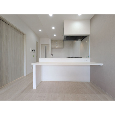 【その他】 | スプランディッド南千住DUE | カウンター
